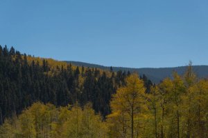 20201020FallColors2020141.jpg